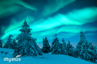 観測スポットへ