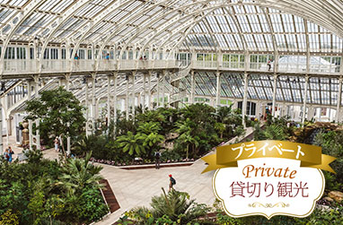 キューガーデン観光｜専用車＋日本語ガイドで巡る世界遺産・王立植物園プライベートツアー