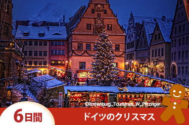 バイエルン地方のお城とクリスマスマーケット満喫6日間(ミュンヘン発着)