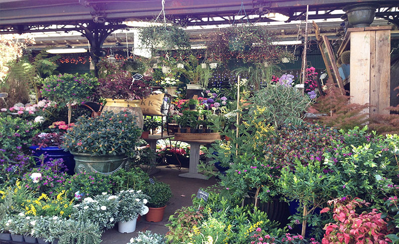 おうちでヨーロッパ旅 パリの歴史をたどる街歩き 世界遺産 セーヌ河岸 とシテ島散策 マイバスヨーロッパ公式サイト