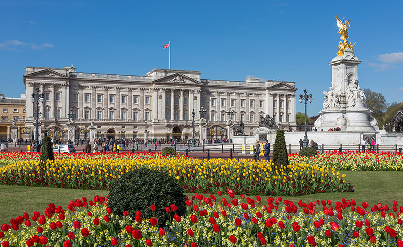 ロンドンならでは バッキンガム宮殿 パブにも立寄るロンドン午前徒歩観光 マイバスヨーロッパ公式サイト
