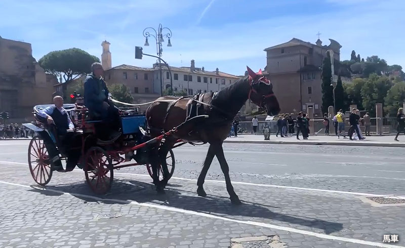 谷本ためひろ　イタリーフローレンスの観光馬車 谷本ためひろ イタリーフローレンスの観光馬車 - メルカリ